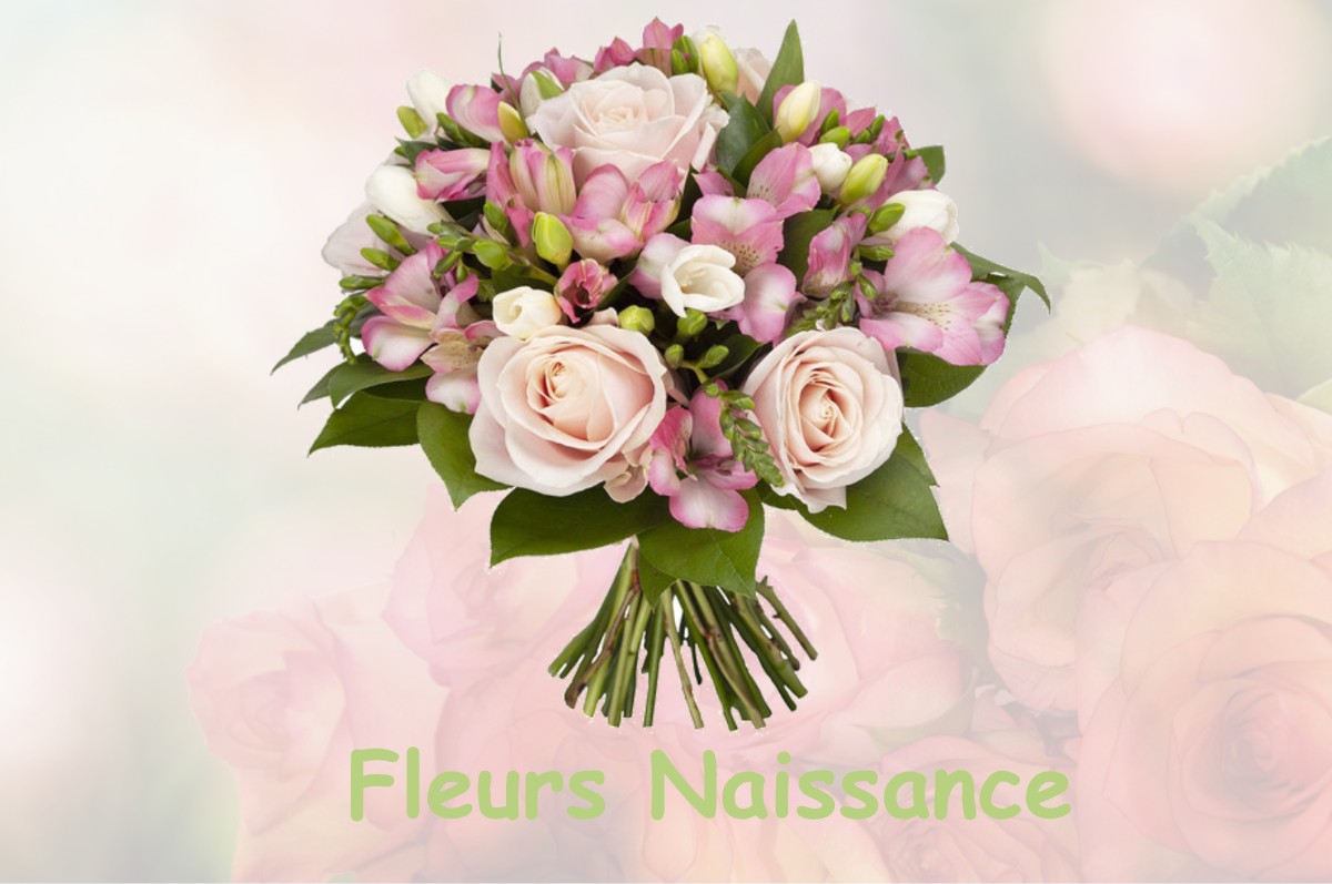 fleurs naissance SAINT-AUBIN-SUR-LOIRE